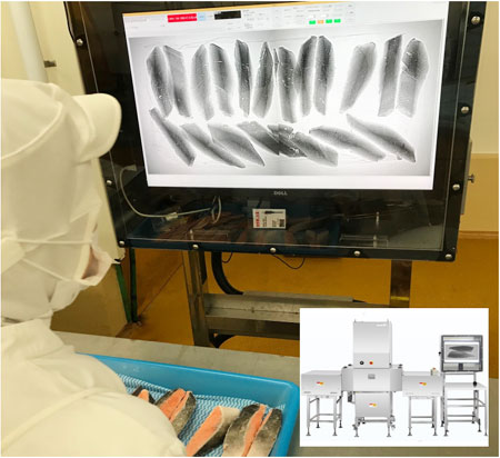 銀ざけX線残骨検査