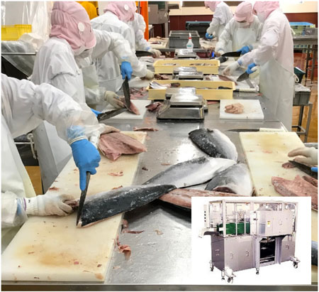 ぶりフィレ製造