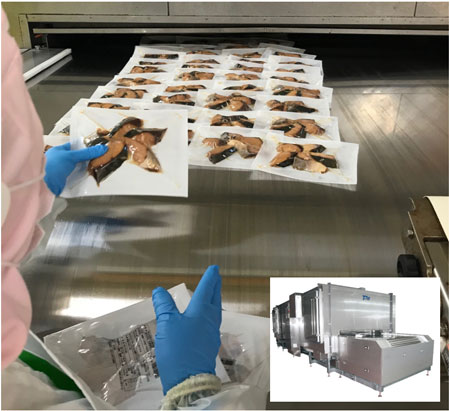 わらさ照焼凍結製造