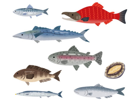 仕入魚種が3魚種のみ